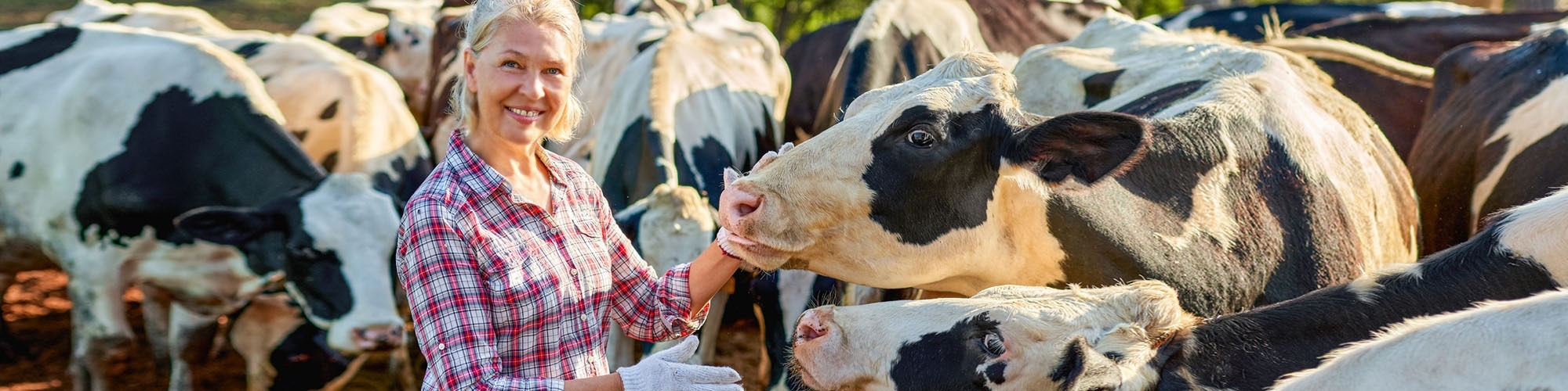 Produkte zur Tierpflege