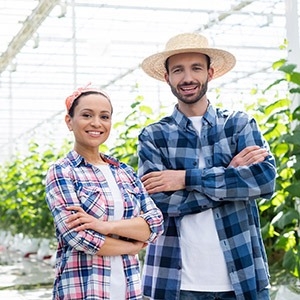 Producteurs commerciaux