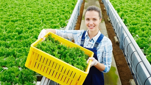 NPK Marketplace plants roots in the EU market